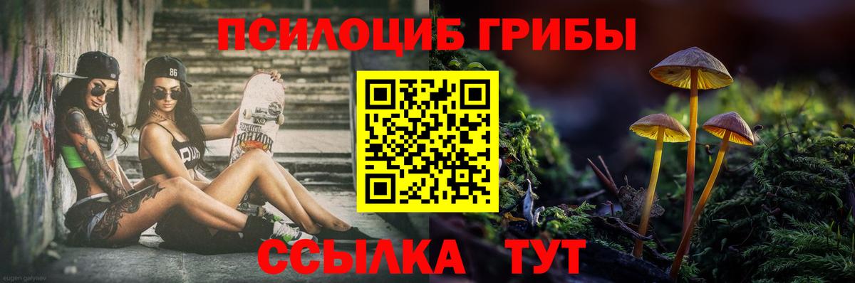 Псилоцибиновые грибы GOLDEN TEACHER Выкса
